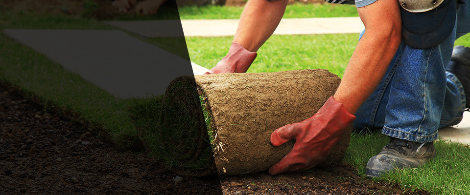 Callahan Landscapers